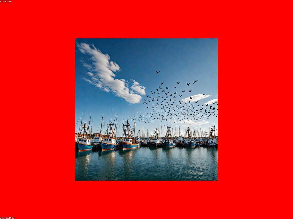 វិធីបាញ់ត្រីមួយចំនួនសំរាប់អ្នកថ្មី