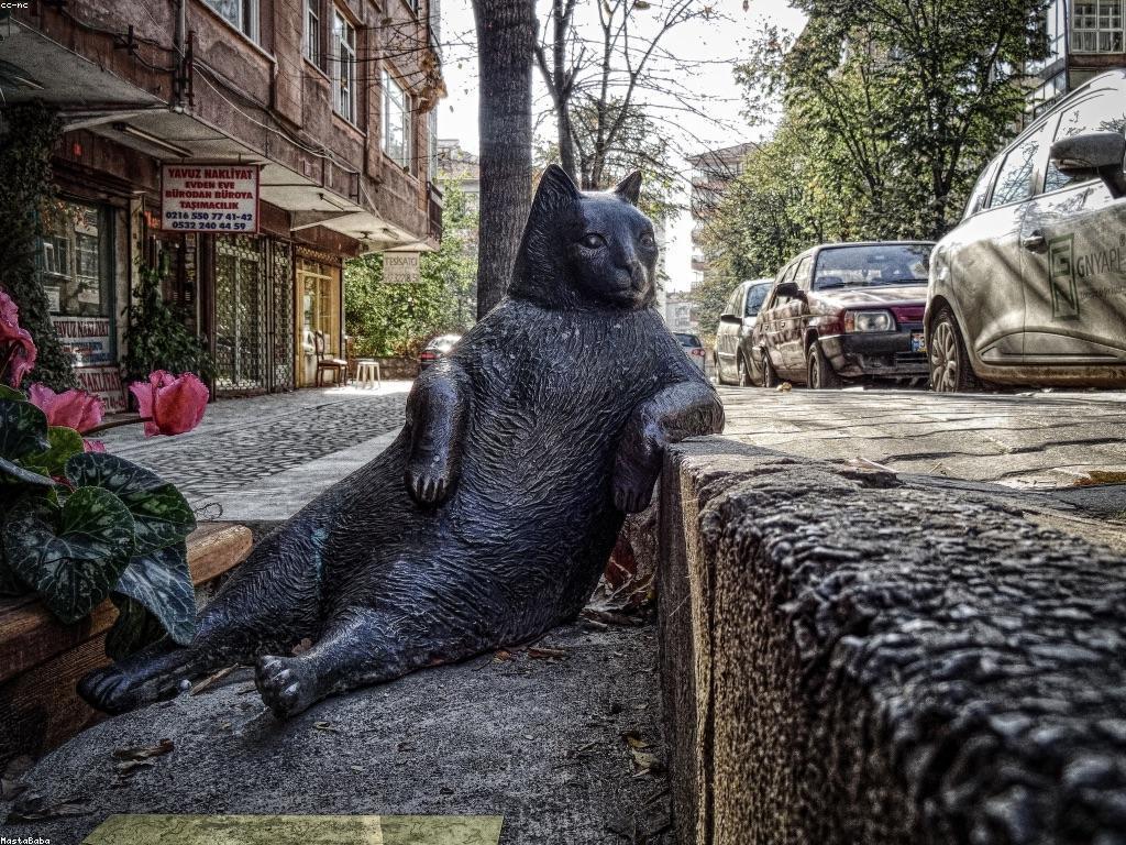 វិធីបាញ់ត្រីសម្រាប់អ្នកចាប់ត្រីដំបូង