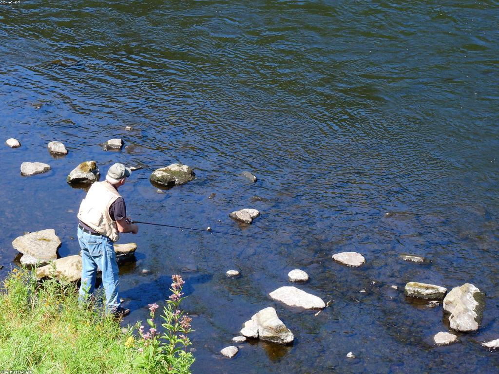 វិធីបាញ់ត្រីមួយចំនួនសំរាប់អ្នកថ្មី
