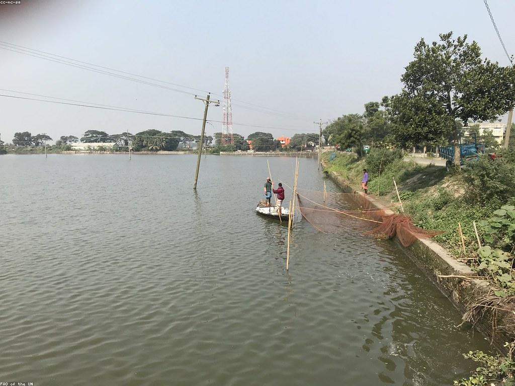 វិធីបាញ់ត្រីសម្រាប់អ្នកចាប់ត្រីជំនាញ
