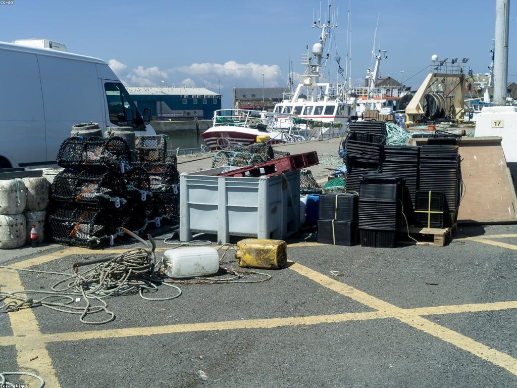 ឧបករណ៍បាញ់ត្រី: ការជ្រើសរើស និងប្រើប្រាស់